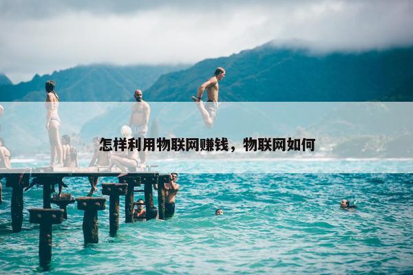 怎样利用物联网赚钱，物联网如何