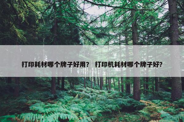 打印耗材哪个牌子好用？ 打印机耗材哪个牌子好？