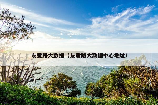 友爱路大数据（友爱路大数据中心地址）