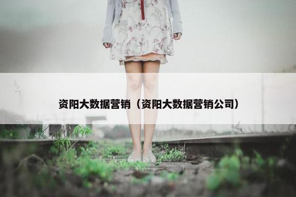 资阳大数据营销（资阳大数据营销公司）