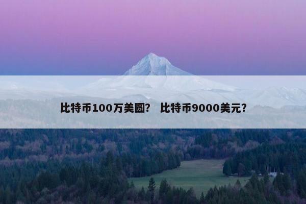 比特币100万美圆？ 比特币9000美元？