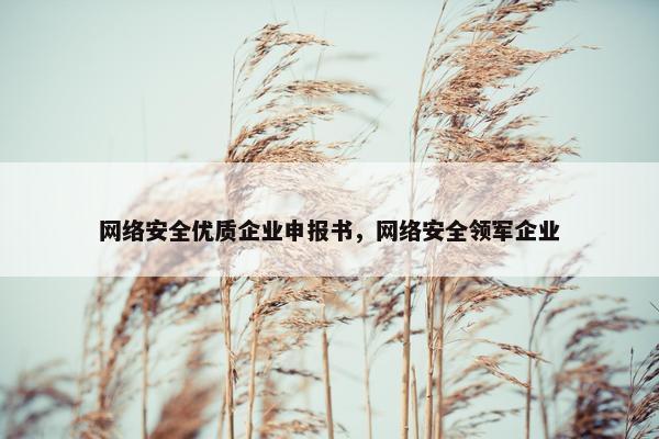 网络安全优质企业申报书，网络安全领军企业
