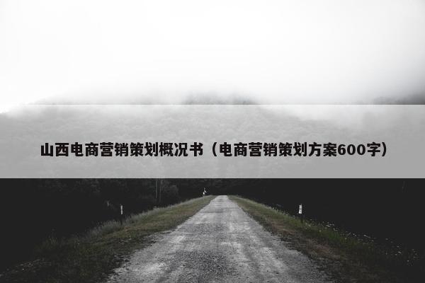 山西电商营销策划概况书（电商营销策划方案600字）