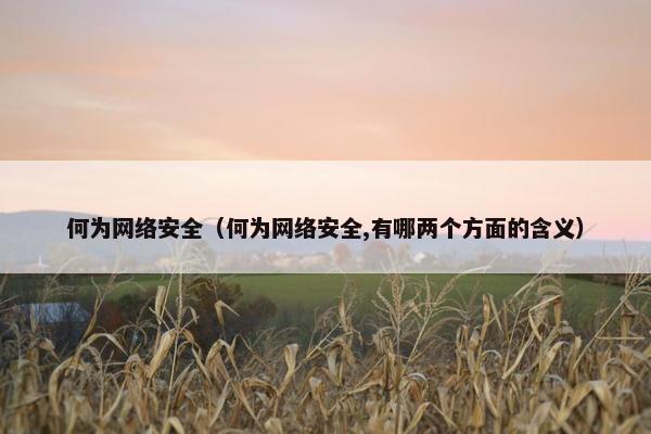 何为网络安全（何为网络安全,有哪两个方面的含义）