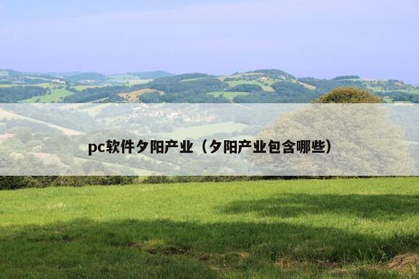 pc软件夕阳产业（夕阳产业包含哪些）
