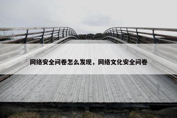 网络安全问卷怎么发现，网络文化安全问卷