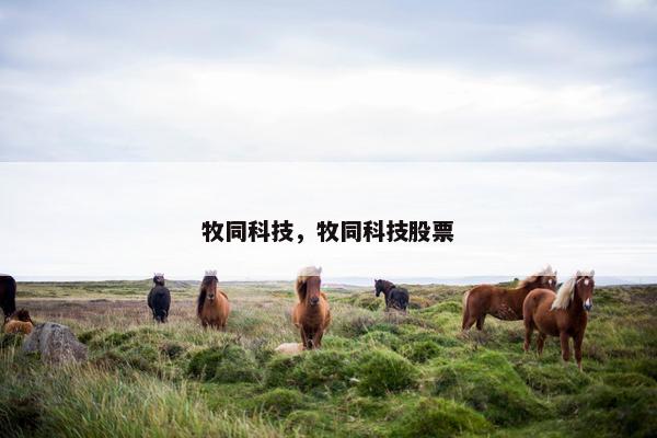 牧同科技，牧同科技股票