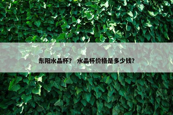 东阳水晶杯？ 水晶杯价格是多少钱？