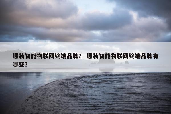 原装智能物联网终端品牌？ 原装智能物联网终端品牌有哪些？