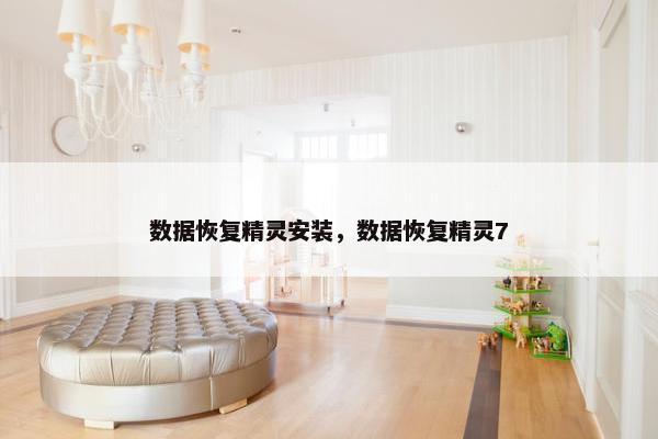 数据恢复精灵安装，数据恢复精灵7