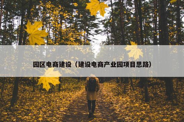 园区电商建设（建设电商产业园项目思路）