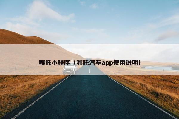 哪吒小程序（哪吒汽车app使用说明）