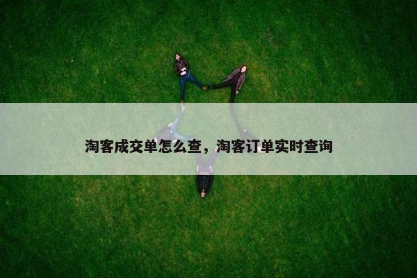 淘客成交单怎么查，淘客订单实时查询