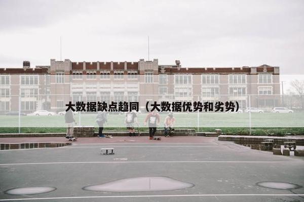 大数据缺点趋同（大数据优势和劣势）