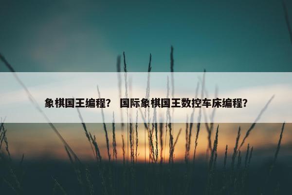 象棋国王编程？ 国际象棋国王数控车床编程？