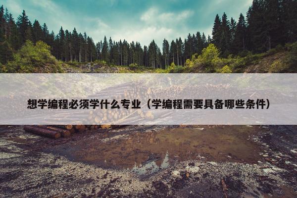 想学编程必须学什么专业（学编程需要具备哪些条件）