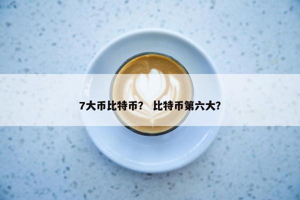 7大币比特币？ 比特币第六大？