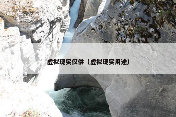虚拟现实仅供（虚拟现实用途）