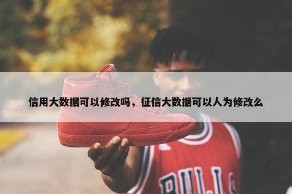 信用大数据可以修改吗，征信大数据可以人为修改么
