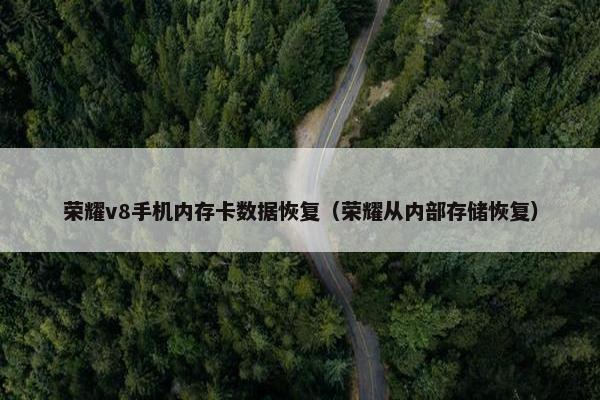 荣耀v8手机内存卡数据恢复（荣耀从内部存储恢复）