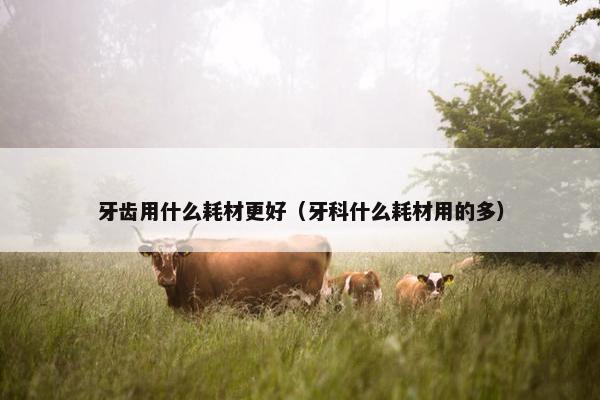 牙齿用什么耗材更好（牙科什么耗材用的多）