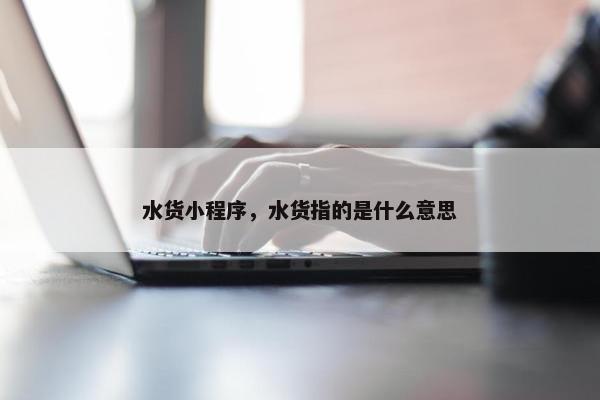 水货小程序，水货指的是什么意思