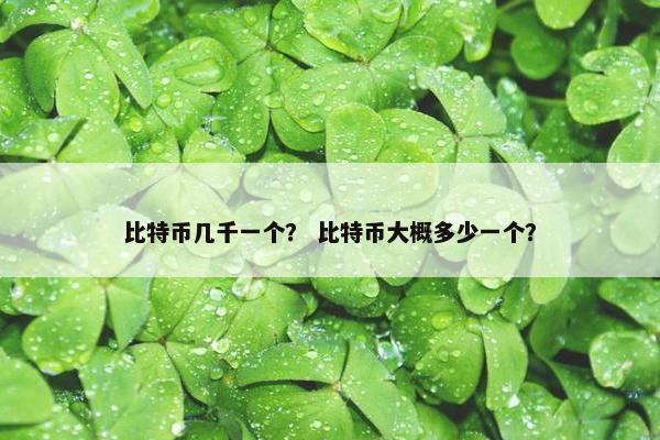 比特币几千一个？ 比特币大概多少一个？