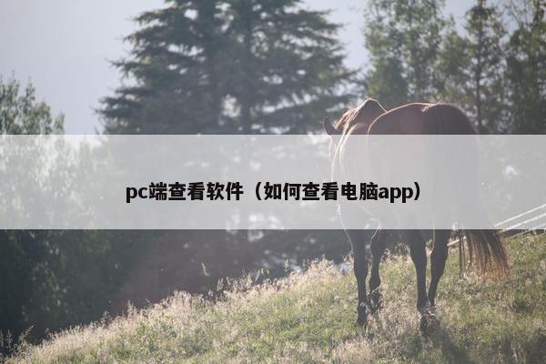 pc端查看软件（如何查看电脑app）