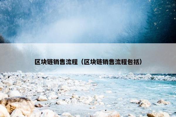 区块链销售流程（区块链销售流程包括）