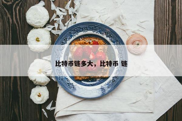 比特币链多大，比特币 链