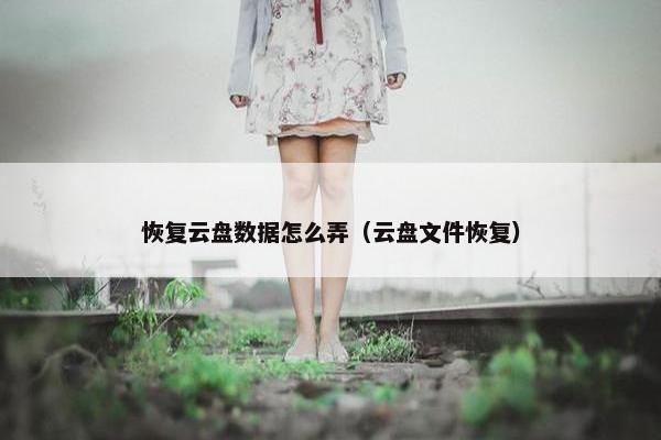 恢复云盘数据怎么弄（云盘文件恢复）