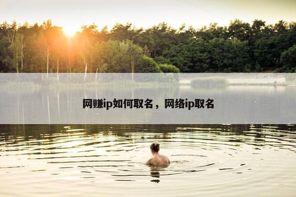 网赚ip如何取名，网络ip取名