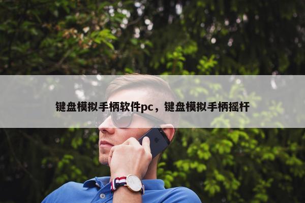 键盘模拟手柄软件pc，键盘模拟手柄摇杆