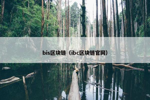 bis区块链（ibc区块链官网）