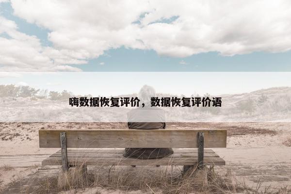 嗨数据恢复评价，数据恢复评价语