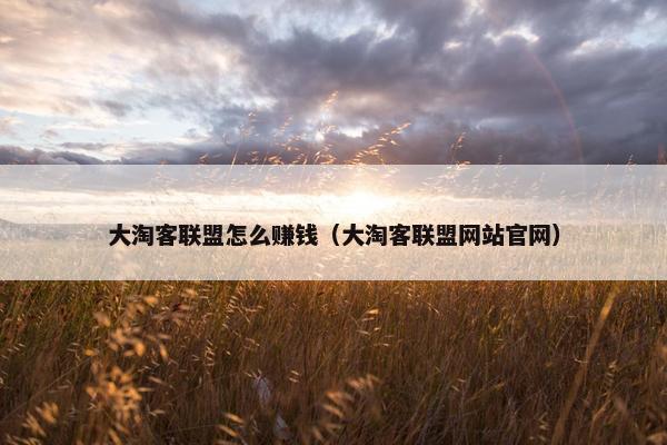 大淘客联盟怎么赚钱（大淘客联盟网站官网）