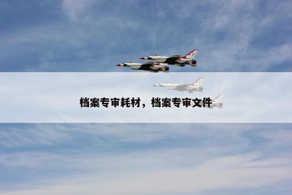 档案专审耗材，档案专审文件