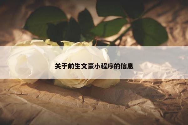 关于前生文豪小程序的信息