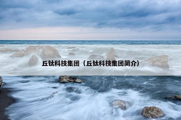 丘钛科技集团（丘钛科技集团简介）