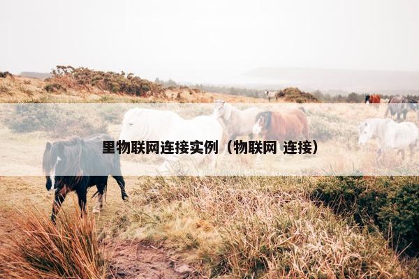 里物联网连接实例（物联网 连接）