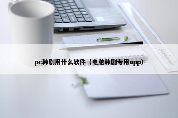 pc韩剧用什么软件（电脑韩剧专用app）