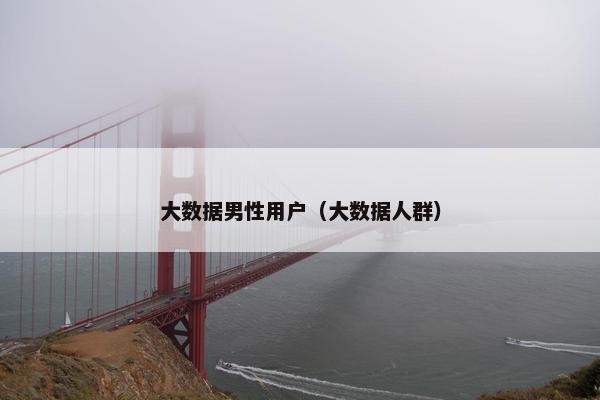 大数据男性用户（大数据人群）