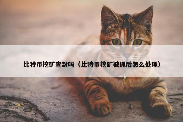 比特币挖矿查封吗（比特币挖矿被抓后怎么处理）
