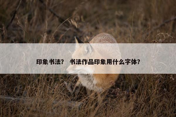 印象书法？ 书法作品印象用什么字体？