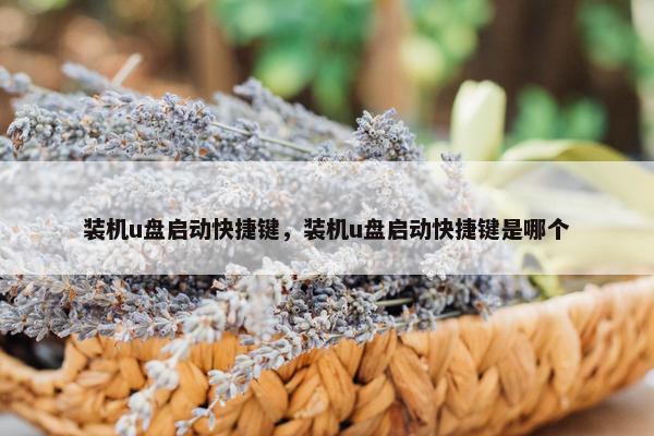 装机u盘启动快捷键，装机u盘启动快捷键是哪个