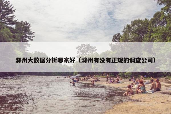 滁州大数据分析哪家好（滁州有没有正规的调查公司）