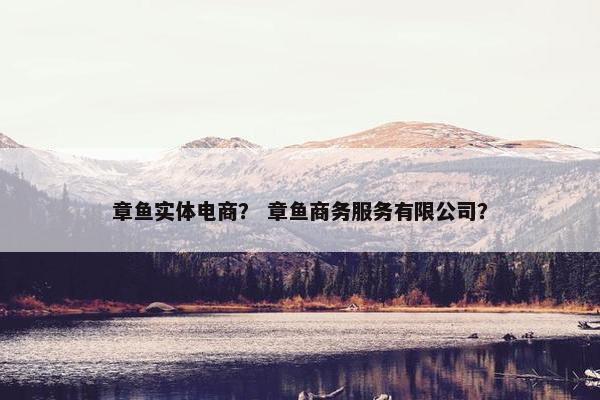 章鱼实体电商？ 章鱼商务服务有限公司？