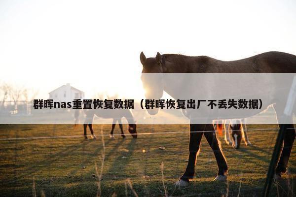 群晖nas重置恢复数据（群晖恢复出厂不丢失数据）