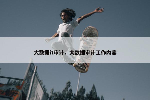 大数据it审计，大数据审计工作内容