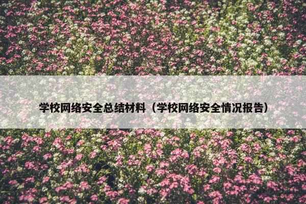 学校网络安全总结材料（学校网络安全情况报告）